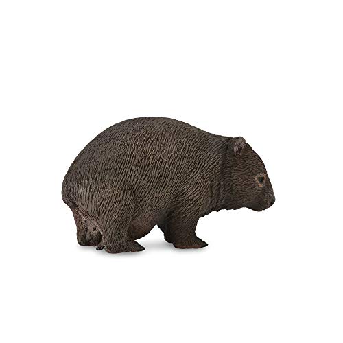 Collecta - Wombat - M - 88756 (90188756)