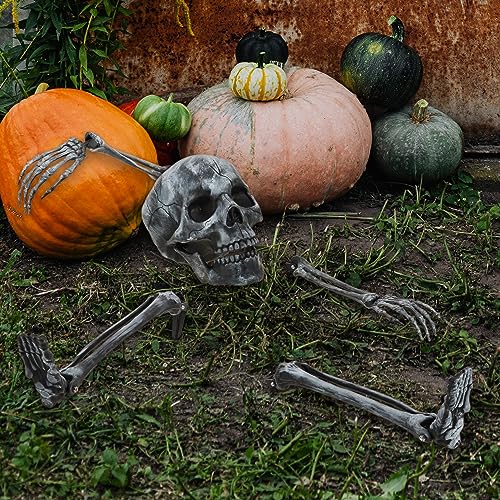 com-four® Juego de Huesos de 5 Piezas - Decoración Premium de Halloween - Esqueleto Humano Parcial con Anclaje al Suelo - Decoración de Huesos Artificiales para el jardín