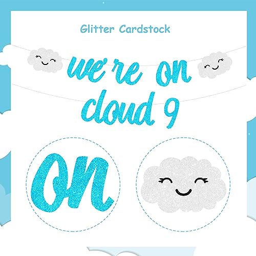 Decoraciones de baby shower de nube, pancarta We are on Cloud 9, decoraciones de baby shower en la nube 9 para niños y niñas