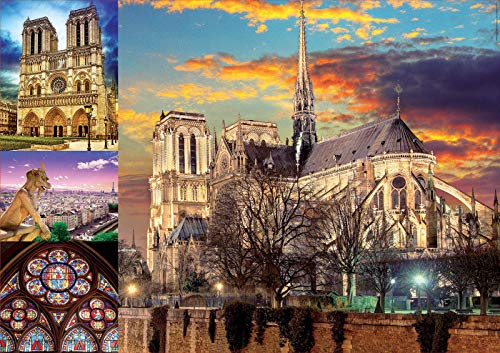 Educa - Puzzle de 1000 Piezas para Adultos | Collage Notre Dame. Incluye Pegamento Fix Puzzle. A Partir de 14 años (18456)