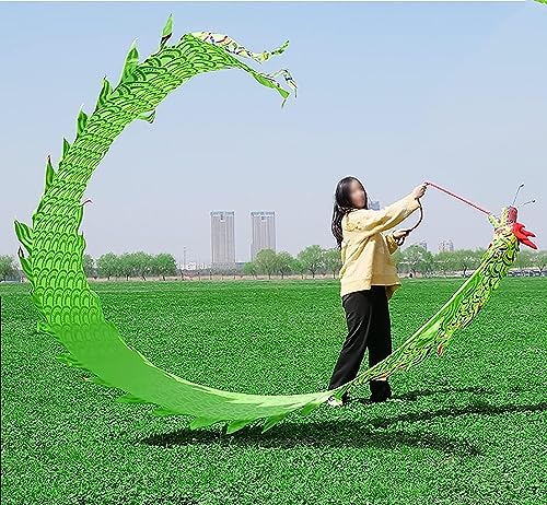 EPANO Cinta De Danza del Dragón Conjunto de Cinta de Baile de dragón de Fitness al Aire Libre de Estampado en Caliente Verde 3D de China (6m 8m 10m) (Size : 8m/26ft)