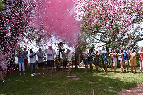 Gender Reveal Surprise Confetti y cañones en polvo (rosa)
