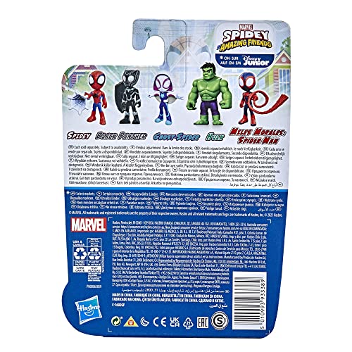 Hasbro F3996 Figura de Hulk, Multicolor, 10 Centimeters