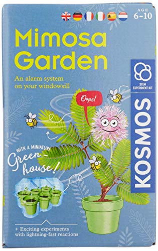Kosmos Garden-Jardín Mimosa, Cultivo y exploración de Plantas Juego de experimentos para niños con Instrucciones multilingües (DE, EN, FR, IT, ES, NL), Multicolor, Small/Medium (616809)