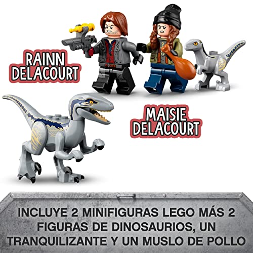 LEGO 76946 Jurassic World Captura de los Velocirraptores Blue y Beta, Dinosaurios Juguetes, Dino, Moto y Camión, Figuras de la Película Parque Jurásico, Regalo para Niños y Niñas a Partir de 6 Años