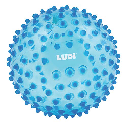 Ludi – Pelota sensorial transparente azul Talla:Norme