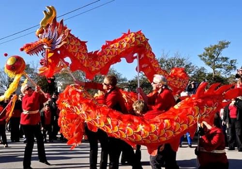 MEGCI Linda Danza del león Danza del dragón de Seda de 8m, tamaño para 8 Playe, Fiesta de Año Nuevo Chino, actuación, Festival, Desfile, Escenario folclórico, Danza del dragón Danza del león Chino