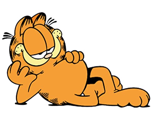 MERCHANDMANIA Pack con 3 Fundas Bolsa Multiusos el Gato Garfield The Cat Serie Clasica Vintage Gafas Dados rol Personalizada Color.