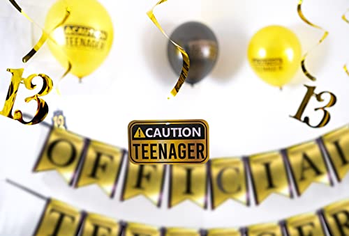 OFFICIAL TEENAGER Divertido paquete fiesta de cumpleaños número 13 (En inglés) - Suministros en dorado y negro, fiesta de cumpleaños número 13, decoraciones y recuerdos.