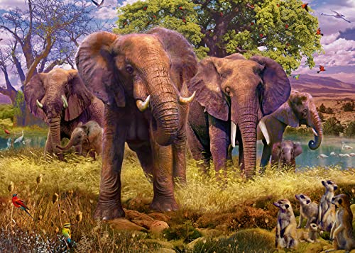 Ravensburger - Puzzle Animales de África, 2 Puzzle de 1000 pezzi, Puzzle Adultos, Exclusiva Amazon