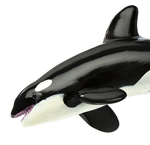 Safari Ltd. Monterey Bay Sea Life Ballena asesina Figura de juguete para niños y niñas - A partir de 3 años