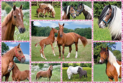 Schmidt- Hermosos Caballos Horse Juego, Multicolor, Medium (SCH56269)