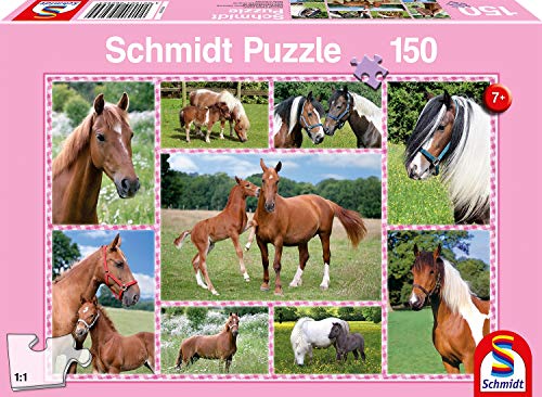 Schmidt- Hermosos Caballos Horse Juego, Multicolor, Medium (SCH56269)