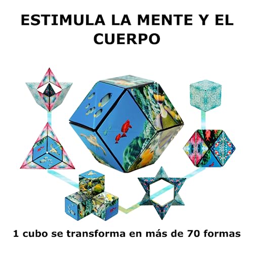 Shashibo Rompecabezas para Niños - Premiado Cubo Magnético Patentado con 36 Imanes de Tierras Raras - Asombroso Rompecabezas 3D – Juguete para Adultos Cubo Shashibo con más de 70 Formas (Undersea)