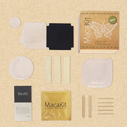 Smart Bugs MacaKit - El kit para criar mariposas Cola De Golondrina en casa - Experimento educativo , Kits educativos de ciencia para niños , Ideas de regalos para niñas , Cumpleaños