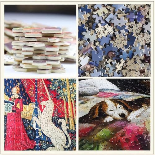 SPLIUYG Puzzle 1000 Piezas, Puzzles para Adultos Rompecabezas de Calidad, Estanque, Alemania, Sajonia, Moritzburg, 75x50cm