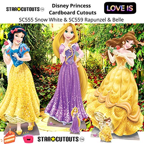 Star Cutouts Ltd Princess Castle - Corte de cartón, Multicolor, 175 x 100 x 175 cm