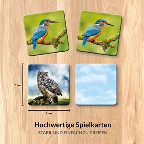 Starnberger Spiele - Vogelwild - Juego de Notas para Adultos y niños a Partir de 6 años - Regalo para Amantes de Las Aves y la Naturaleza.
