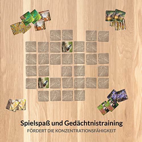 Starnberger Spiele - Waldbaden - Juego de notas para adultos y niños a partir de 6 años - Regalo para los amantes de la naturaleza y del bosque