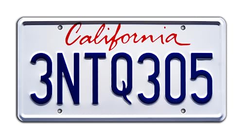 The Fast and The Furious | 3NTQ305 | Stamped License Plate