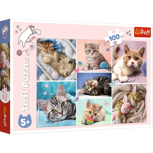 Trefl-En el Mundo de los Gatos de 100 Piezas, para niños a Partir de 5 años Puzzle, Color, In Der Katzenwelt
