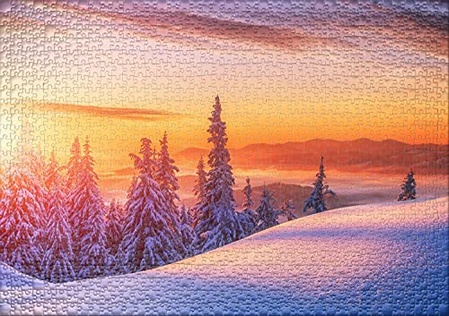 Ulmer Puzzleschmiede - Puzle "La lejos despertar" – Puzzle clásico de 1000 piezas – paisaje invernal solitario en el sol de la mañana – un juego con luz y sombra para ambiciosos puzzles de naturaleza