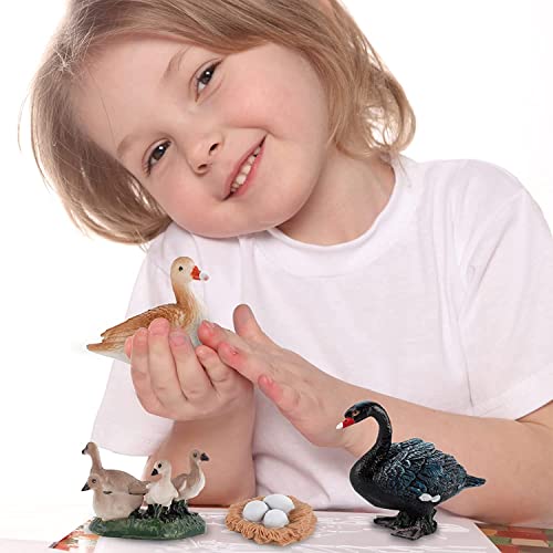 Zerodis Modelo de Ciclo de Crecimiento de 4 etapas, Animales de Juguete Modelos de Ciclo de Vida de Pato Juguete Educativo de Aprendizaje Interactivo para niños niños pequeños(#2)