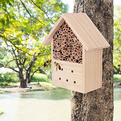 Asixxsix Casa de Abejas, Casa de Insectos Material de Pino Natural para Jardín