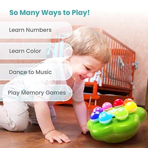 BEST LEARNING jardín de Hongos - Juguetes educativos interactivos para niños pequeños de 1 a 3 años - Colores, números, Juegos y música para los más pequeños (Versión en inglés)