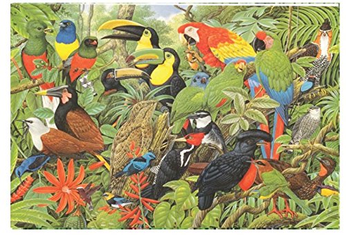 Birds Of Costa Rica - Puzzle de 1000 piezas