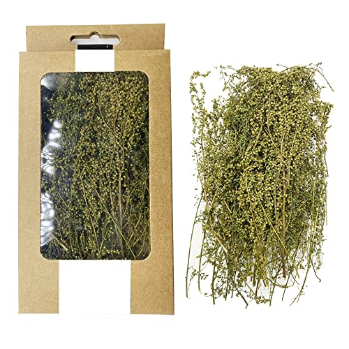 Cayway Racimo de Arbustos Grass Tufts Juego de Mesa de Arena, Utilizado para Paisajes en Miniatura, Diseño de Arbustos en Miniatura para El Paisaje del Jardín de Bricolaje, Verde