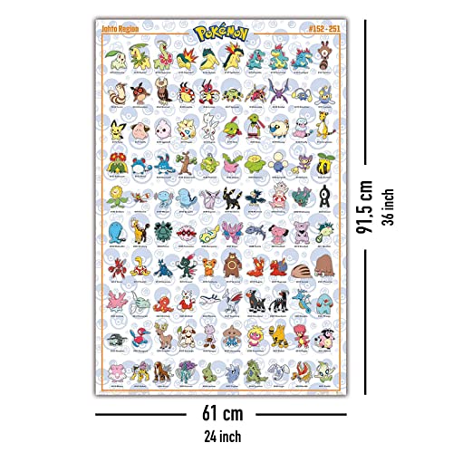 Close Up Póster Pokémon - Johto Region [Caractéres] (61cm x 91,5cm)