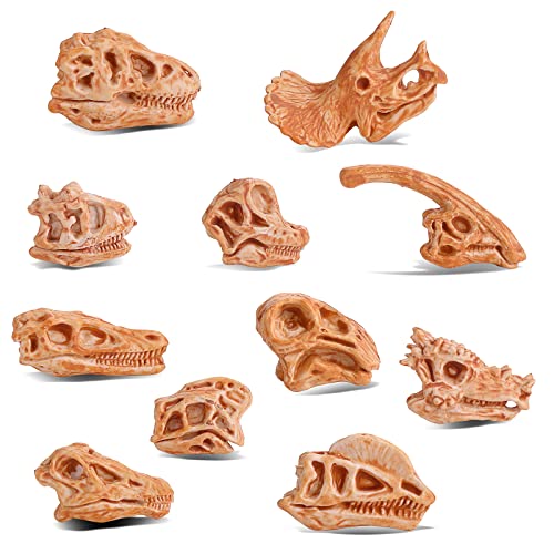 cobee Mini Esqueleto de Cabeza de Dinosaurio, 11 Piezas de Huesos de Dinosaurio Figuras fósiles de Dinosaurio para Caja de Arena Figuras de Cabeza de Dinosaurio, Calavera de Dinosaurio