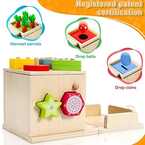 COOLJOY Juguetes Montessori Educativo 1-4 Años | 5-EN-1 | Juguetes para Apilar y Encajar, Caja de Monedas para Recoger Zanahorias | Regalo para Niños