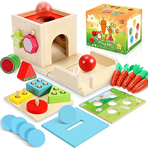 COOLJOY Juguetes Montessori Educativo 1-4 Años | 5-EN-1 | Juguetes para Apilar y Encajar, Caja de Monedas para Recoger Zanahorias | Regalo para Niños