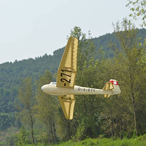 DFS Kranich - Maqueta de avión, Escala, 1498 mm, Peso de Vuelo de 350 g, Escala 1/12, Juego de Planeador para Construir Usted Mismo, Modelo de avión, Kit de construcción de Modelos de avión