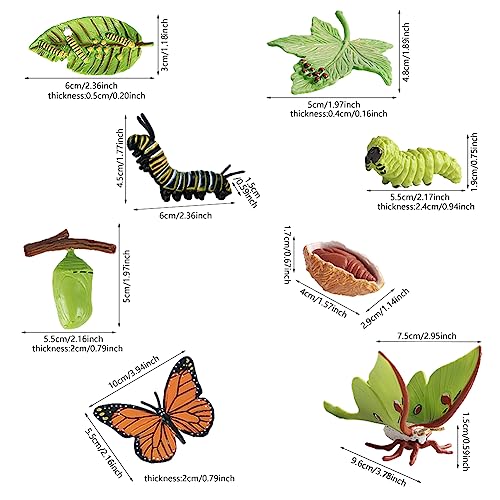 Divono 4 piezas mariposa ciclo de vida y 4 piezas polilla figura, cifras de ciclo de vida de mariposas y polilla, vida animal realista ciclo de crecimiento modelo de figuras de insectos herramienta de