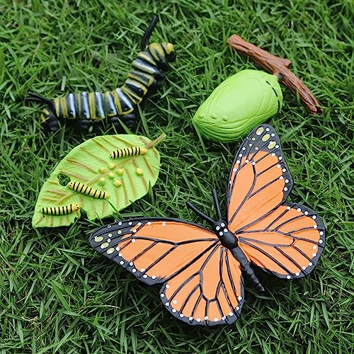 Divono 4 piezas mariposa ciclo de vida y 4 piezas polilla figura, cifras de ciclo de vida de mariposas y polilla, vida animal realista ciclo de crecimiento modelo de figuras de insectos herramienta de
