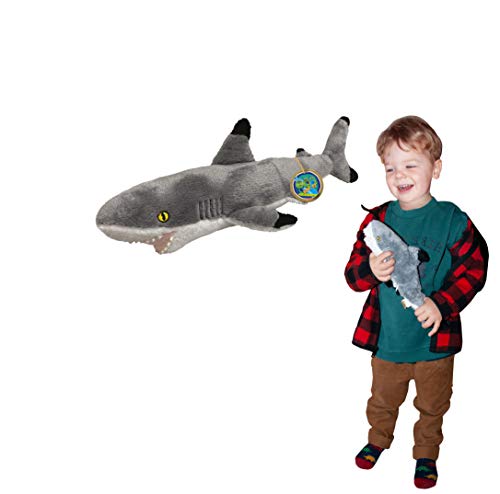 EcoBuddiez - Tiburón Punta Negra de Deluxebase. Peluche pequeño de 32 cm elaborado con Botellas de plástico recicladas. Lindo Peluche ecológico con Forma de animalito para niños pequeños.
