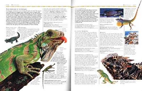 Enciclopedia degli animali. Una guida completa per comprendere il mondo degli animali (Varia illustrata)