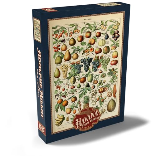 Fructus - Frutas para Todos, Póster De Arte Vintage, Adolphe Millot - Premium 1000 Piezas Puzzles - Colección Especial MyPuzzle de Havana Puzzle Company