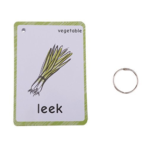 HONTOUSIP 20 Pcs Vegetables Flash Cards English | Memory Game Cards for Kids| Preschool Educational Learning English Flashcards(Basic English Vocabulary Cards & Cards Pocket for Kids) 12x9cm(inglés)