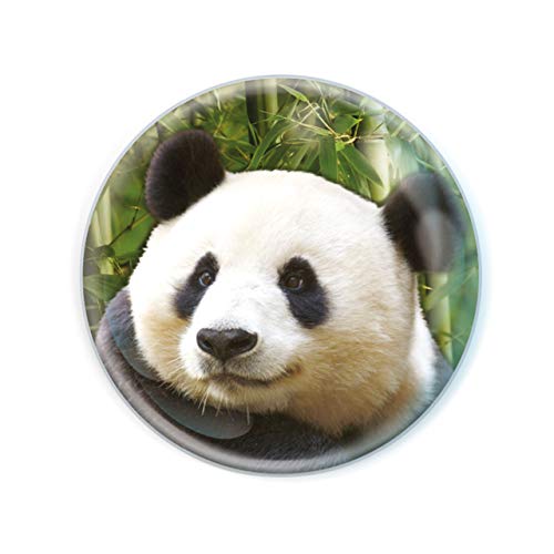 Imanes Magnidome - Oso Panda de Deluxebase. Imán de Nevera de Cristal con diseño de Oso Panda para niños. Magníficos imanes con Forma de cúpula para decoración y Accesorios del hogar