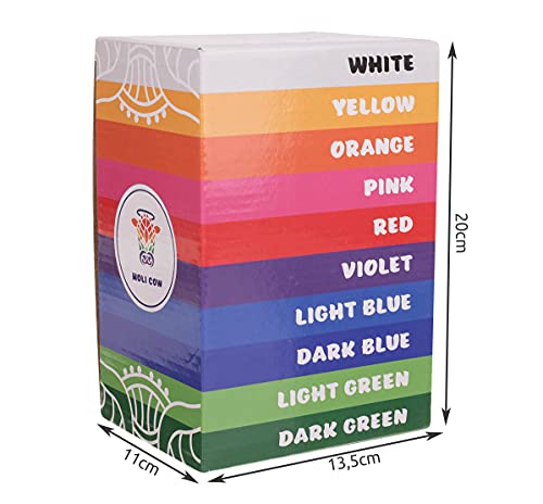 ISO TRADE- Colored Holi Powder-Set of 10x100g Pinturas, Multicolor (10564)