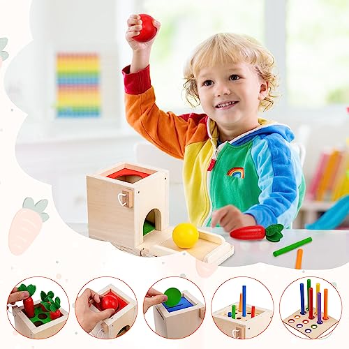 Juguetes Montessori 4 en 1, Juguetes de Madera para Niños 3 4 5 Año, Juguete para Recoger Zanahorias, Caja de Monedas Montessori de Clasificación de Madera, Juguetes para Niños, Regalo de Cumpleaños