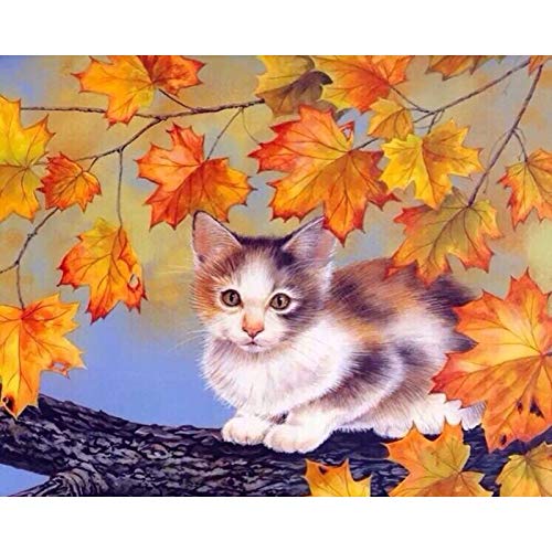Kit de pintura al óleo de bricolaje por números para adultos, imágenes de gatos lindos coloridos por números, pintura de arte de pared acrílica de animales A16 30x40cm