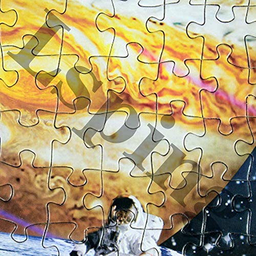Lsping Puzzle 1000 pezzi Fondos de Pantalla Ardilla roedores el Tronco de árbol animalia descargar imagenes 50x70cm