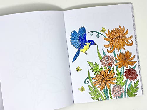 Minis Kreativ Juego de lápices de colores con 24 lápices de colores + sacapuntas DUO, libro para colorear con música relax, adecuado para artistas, niños y adultos