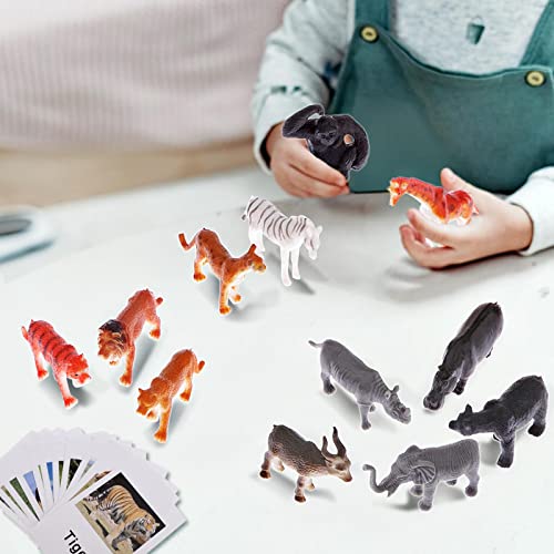 Montessori Animal Card Model Toy Set – Wildlife 1 modelo de cartas a juego (CARD0004) + animales de aves de corral (ZHWJ020) + animales oceánicos 2 (ZHWJ036) + modelo de tarjeta de insectos a juego