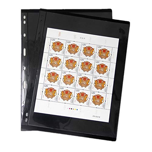 MUROAD Páginas de sellos para carpeta de álbumes de sellos, 10 hojas 1S páginas para coleccionistas de páginas de sellos, paquete profesional (1 fila)